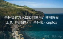 茶杯狐官方入口如何使用？使用感受汇总（指南向），茶杯狐 - cupfox