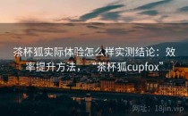 茶杯狐实际体验怎么样实测结论：效率提升方法，“茶杯狐cupfox”