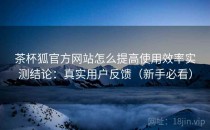茶杯狐官方网站怎么提高使用效率实测结论：真实用户反馈（新手必看）