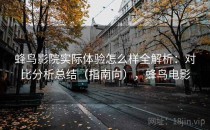 蜂鸟影院实际体验怎么样全解析：对比分析总结（指南向），蜂鸟电影