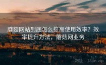 蘑菇网站到底怎么提高使用效率？效率提升方法，蘑菇网业务