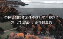 茶杯狐到底资源多不多？实用技巧合集（对比后），茶杯狐主页