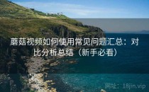 蘑菇视频如何使用常见问题汇总：对比分析总结（新手必看）