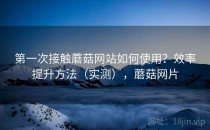 第一次接触蘑菇网站如何使用？效率提升方法（实测），蘑菇网片