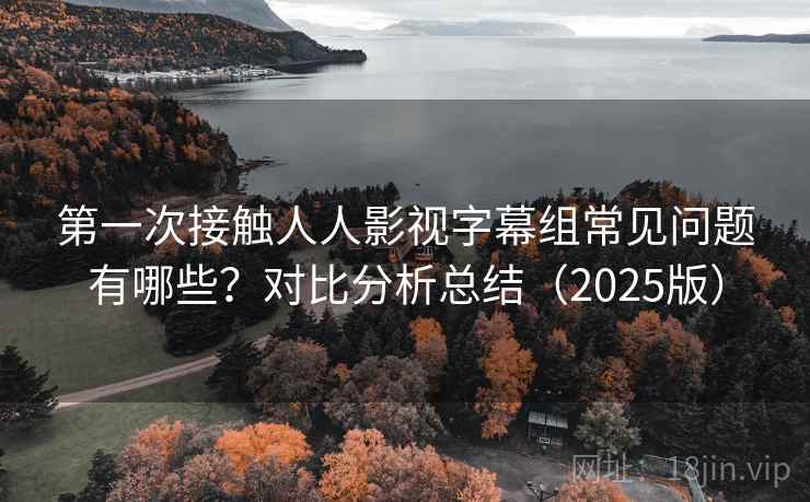 第一次接触人人影视字幕组常见问题有哪些？对比分析总结（2025版）  第2张