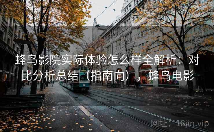蜂鸟影院实际体验怎么样全解析：对比分析总结（指南向），蜂鸟电影  第1张