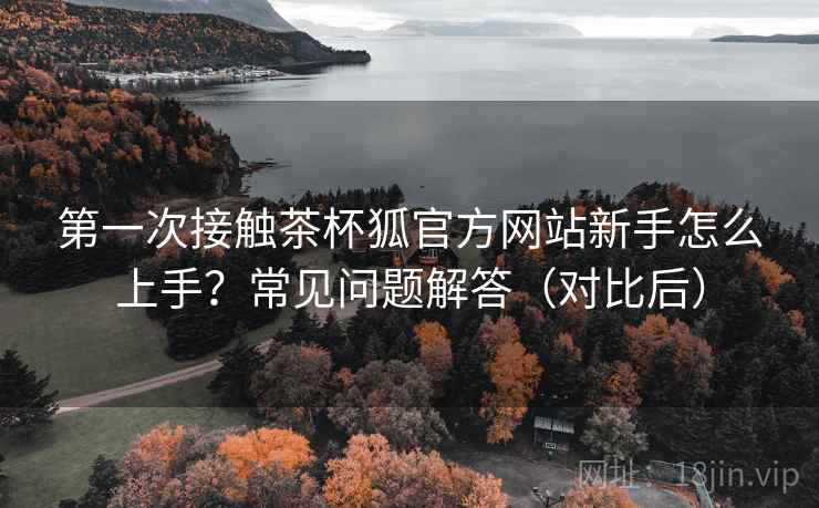 第一次接触茶杯狐官方网站新手怎么上手？常见问题解答（对比后）  第1张