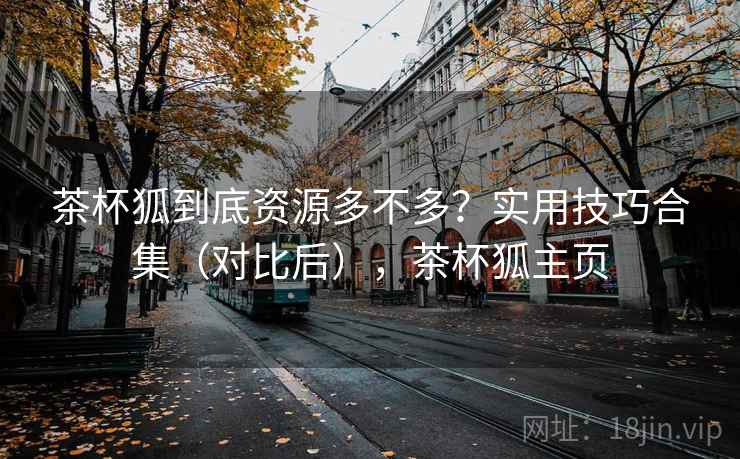 茶杯狐到底资源多不多？实用技巧合集（对比后），茶杯狐主页  第2张