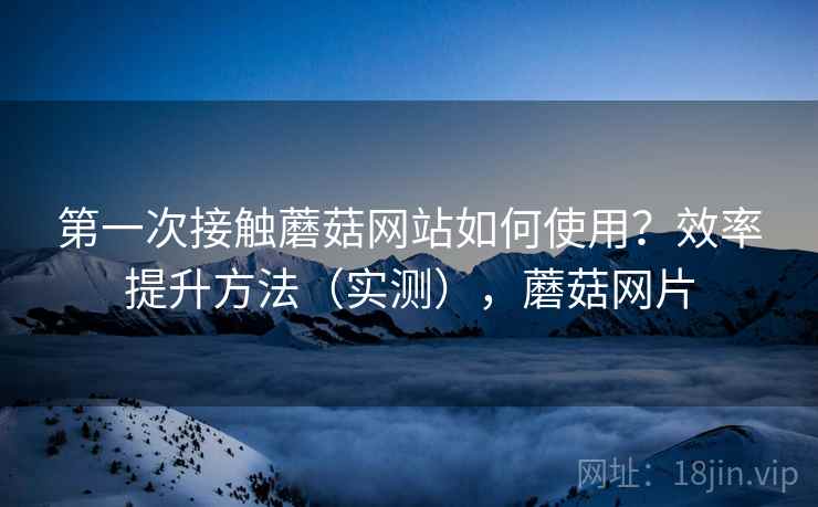 第一次接触蘑菇网站如何使用？效率提升方法（实测），蘑菇网片  第1张