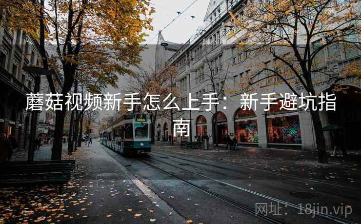 蘑菇视频新手怎么上手:新手避坑指南 第2张 蘑菇视频新手怎么上手:新手避坑指南 第2张